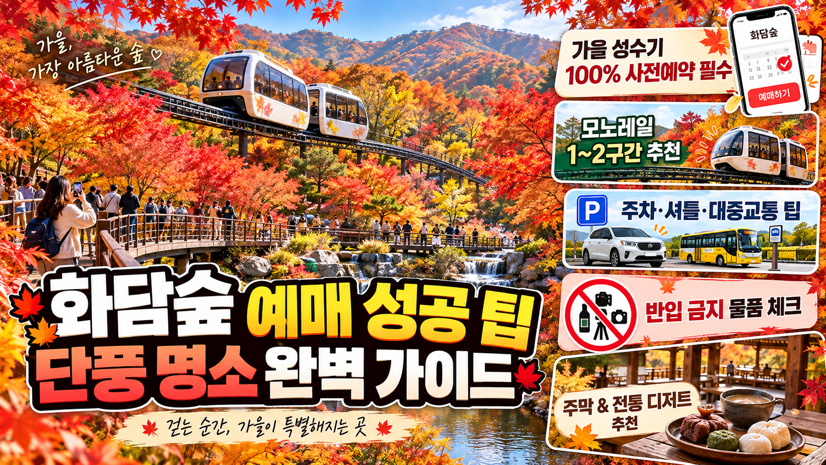 11월에 가볼만한 곳 '광주 화담숲' 예매 성공 팁과 단풍 명소 완벽 가이드