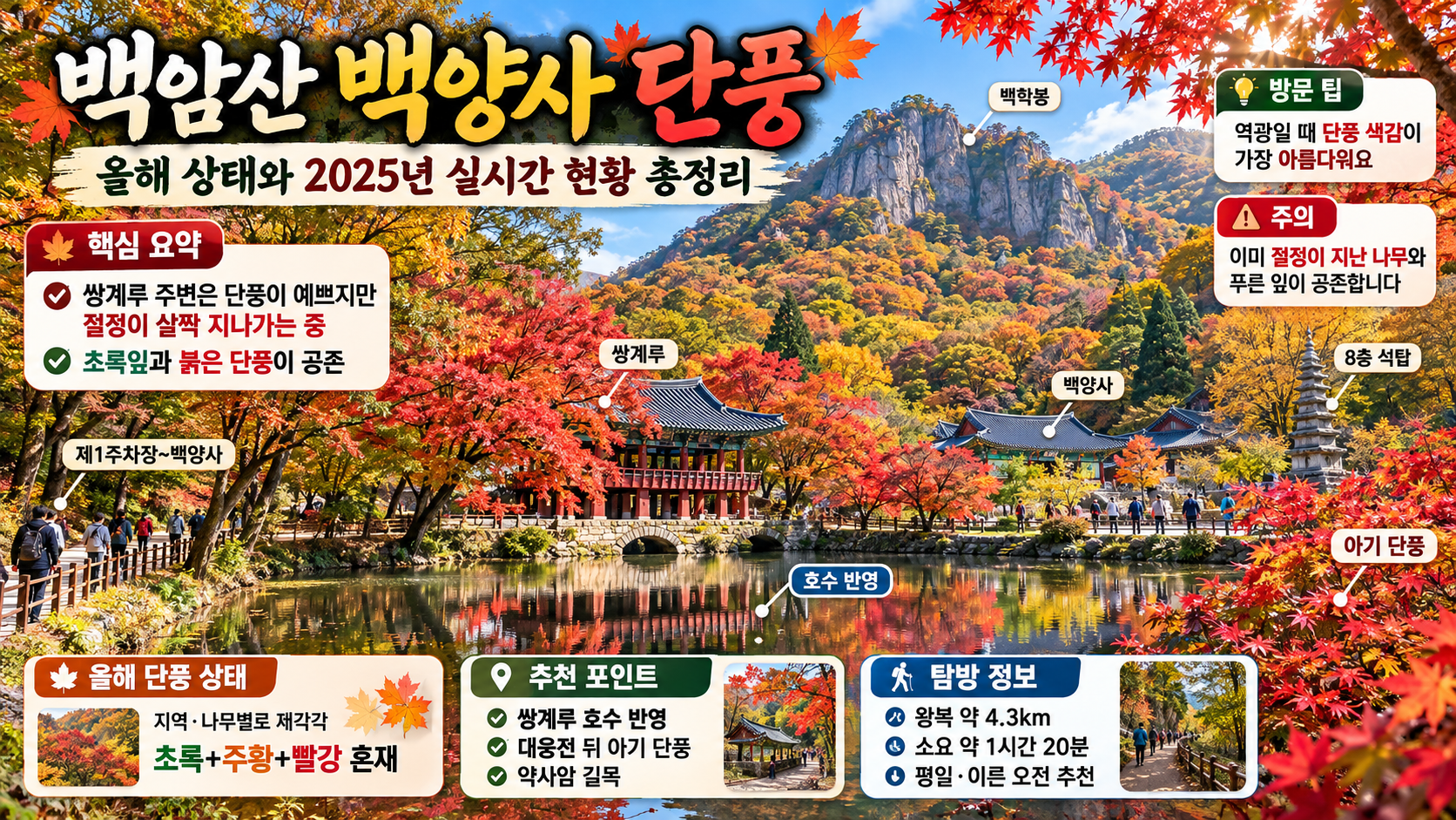 백암산 백양사 단풍 올해 상태와 2026년 실시간 현황 총정리